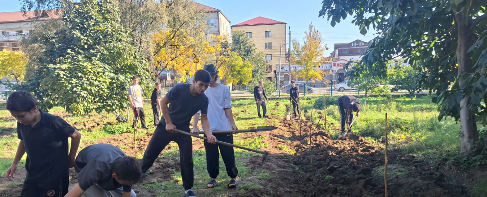 Субботняя акция "Чистый двор"