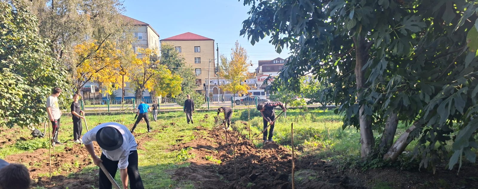 Субботняя акция "Чистый двор"